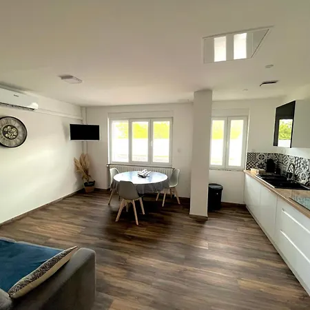 Maison Tout Confort Avec 2 Appartements Separes Ou Associes , Salle De Jeux Et Grande Terrasse Lucey