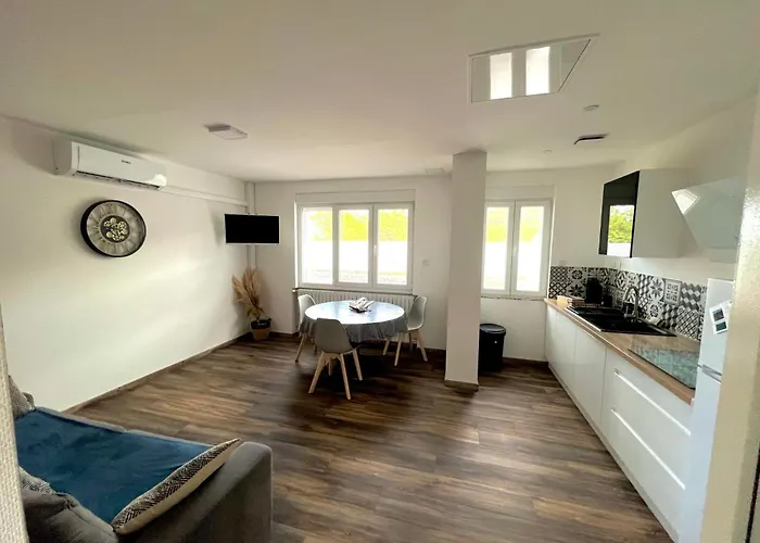 Maison Tout Confort Avec 2 Appartements Separes Ou Associes , Salle De Jeux Et Grande Terrasse Lucey